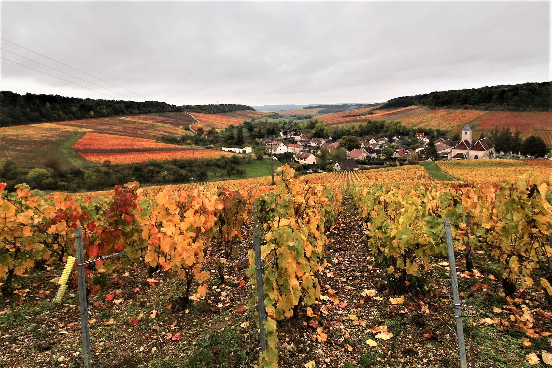 Maisons et Pierres de Champagne